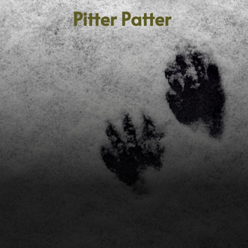 Various Artists - Pitter Patter