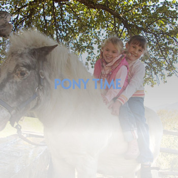 Various Artists - Pony Time