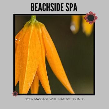 Various Artists - Beachside Spa: Body Massage with Nature Sounds