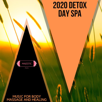 Various Artists - 2020 Detox Day Spa: Music for Body Massage and Healing