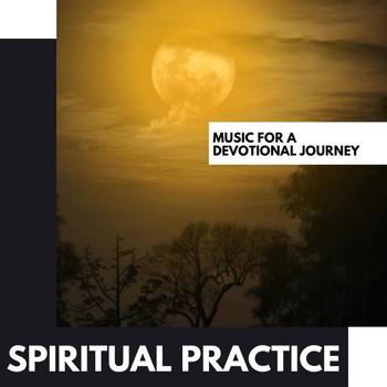 Various Artists - Spiritual Practice: Music for a Devotional Journey