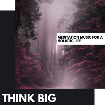 Various Artists - Think Big: Meditation Music for a Holistic Life