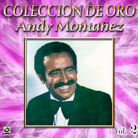 Andy Montañez - Colección de Oro: El Espectacular Andy Montañez, Vol. 2