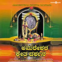 Ajay Warriar - Amareshwara Kshetra Darshana