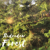 Rudradew / - Forest