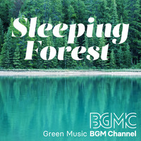 Green Music BGM channel - Sleeping Forest