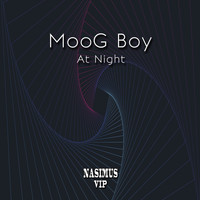 Moog Boy - At Night