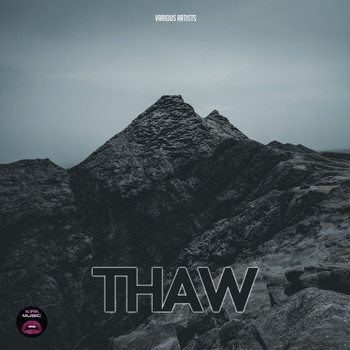 Various Artists - Thaw