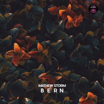 Mathew Storm - Bern