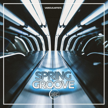 Various Artists - Spring Groove