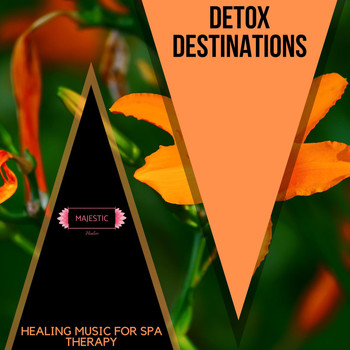 Various Artists - Detox Destinations: Healing Music for Spa Therapy