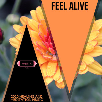 Various Artists - Feel Alive: 2020 Healing and Meditation Music