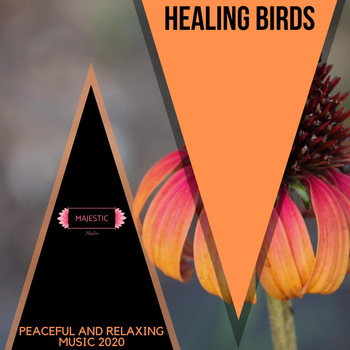 Various Artists - Healing Birds: Peaceful and Relaxing Music 2020