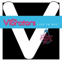 The Vibrators - Live in NYC (At Bowery Electric)