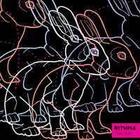 Rithma - The Hop