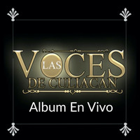 Las Voces De Culiacan - Te Vi Bonita (Album En Vivo)