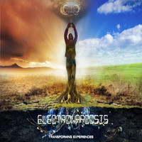 Electronarcosis - Transforming Experiences