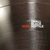 Wire - Small Black Reptile (10:20 Version)