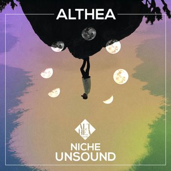 NICHE - Unsound