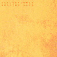 Skyggeblomst - Budding Rose