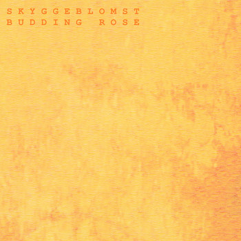 Skyggeblomst - Budding Rose