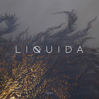 Levi - Liquida