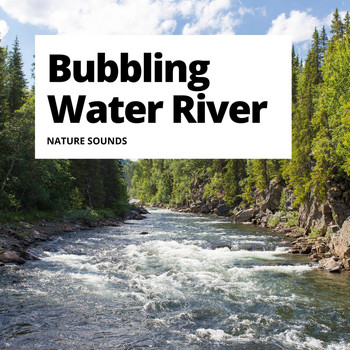 Nature Sounds - Bubbling Water River