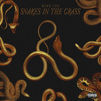 King Tee - Snakes in the Grass (Explicit)