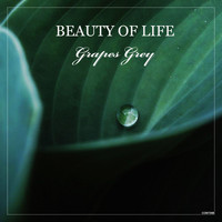 Grapes Grey - Beauty of Life