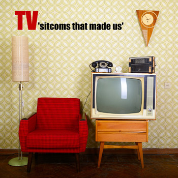 Various Artists - T.V. Sitcoms That Made Us