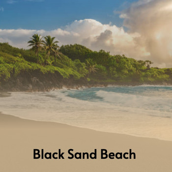 Various Artists - Black Sand Beach