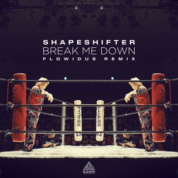 Shapeshifter - Break Me Down (Flowidus Remix)