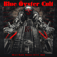 Blue Öyster Cult - Burnin' for You (Live)