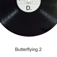 D. / - Butterflying 2