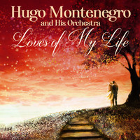 Hugo Montenegro and His Orchestra - Loves of My Life
