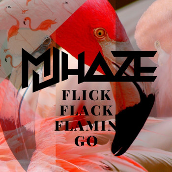 MJ HAZE / - Flick Flack Flamingo