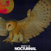 Wayv D - Nocturnal