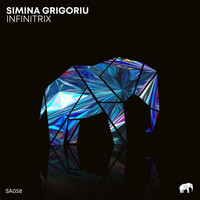 Simina Grigoriu - Infinitrix