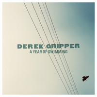 Derek Gripper - A Year of Swimming