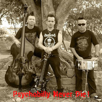 Skizoyds - Psychobilly Never Die!