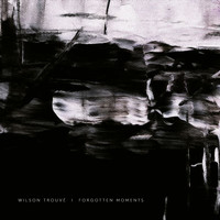 Wilson Trouvé - Forgotten Moments