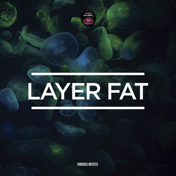 Various Artists - Layer Fat