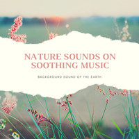 Vitamin Therapy - Nature Sounds on Soothing Music: Background Sound of the Earth & New Age