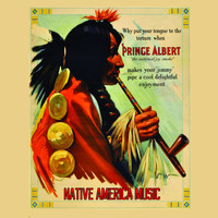 Fly Project - Native American Music