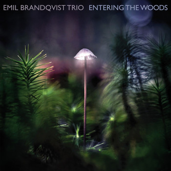 Emil Brandqvist Trio - The Woods