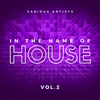 Various Artists - In the Name of House, Vol. 2