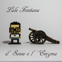 Lele Fontana - Il senso e l'enigma