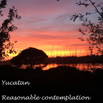 Yucatan - Reasonable Contemplation