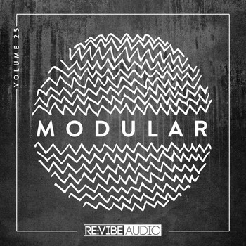 Various Artists - Modular, Vol. 25