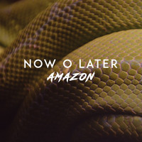 Now O Later - Amazon